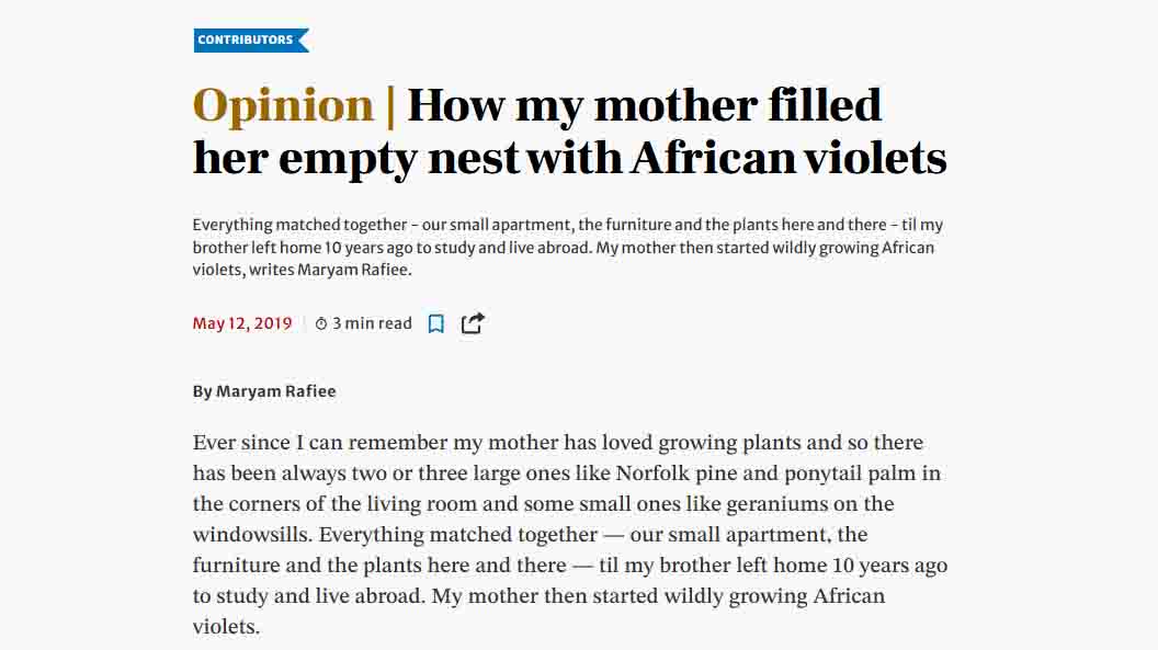 How my mother filled her empty nest with African violets